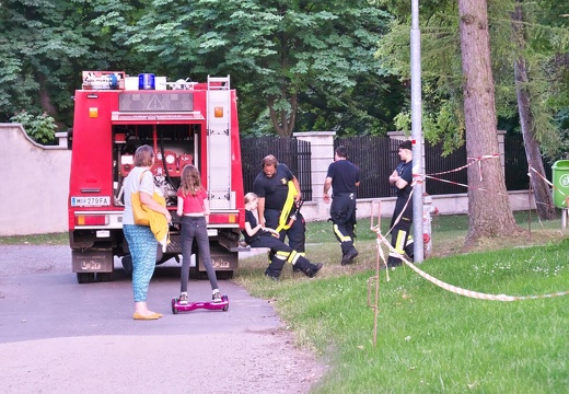 210619 Johannisfeuer-04