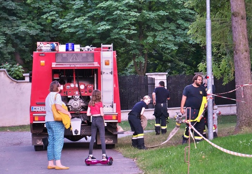 210619 Johannisfeuer-05