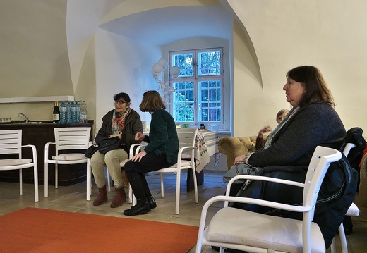 230121 Kamingespräch Pfarrmoderator Palocsay-09