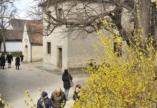 230312 Suppentag-05