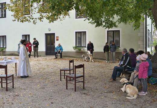 241006 Tiersegnung-07