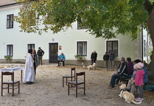 241006 Tiersegnung-08