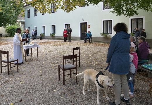 241006 Tiersegnung-11