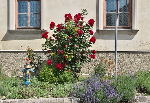 240530 Fronleichnam-58